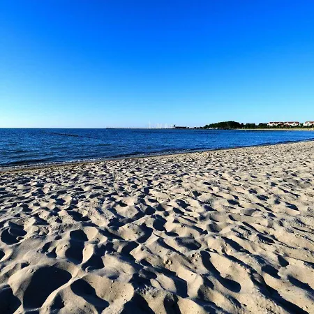 Strandgut-reethus