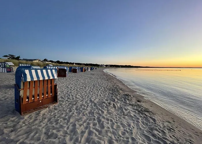 Strandgut-reethus