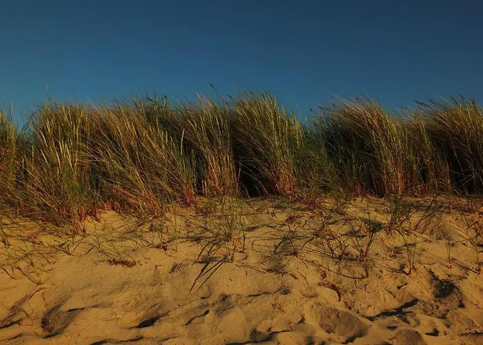 Strandgut-reethus *
